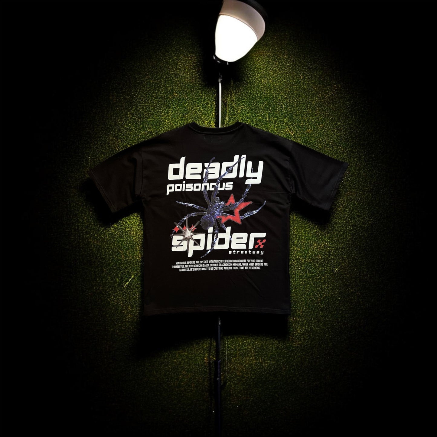 DEADLY SPIDER